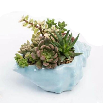Ceramic Glazed Ocean-Inspired Planters | Coastal Vibe Decorative Pots | Ocean Blue & Teal Options | Various Sizes Available