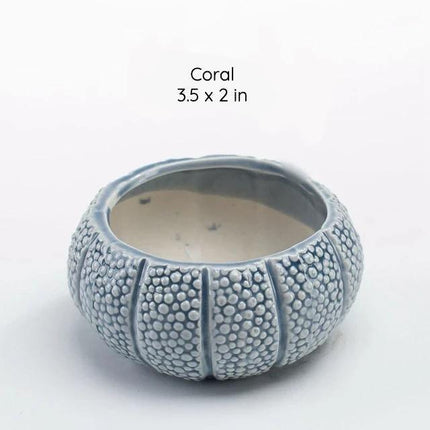 Ceramic Glazed Ocean-Inspired Planters | Coastal Vibe Decorative Pots | Ocean Blue & Teal Options | Various Sizes Available