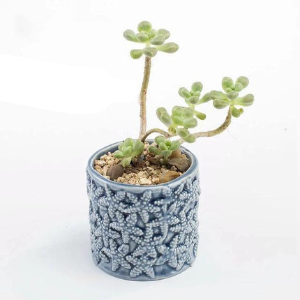 Ceramic Glazed Ocean-Inspired Planters | Coastal Vibe Decorative Pots | Ocean Blue & Teal Options | Various Sizes Available