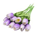 BlueViolet