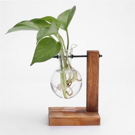 Glass Propagation Vase | Vertical Wooden Stand | 360° View | Decorative Glass Planter for Home Office | Durable Borosilicate Glass | Natural Wood Bracket | Ideal for African Violets and More | Easy Assembly