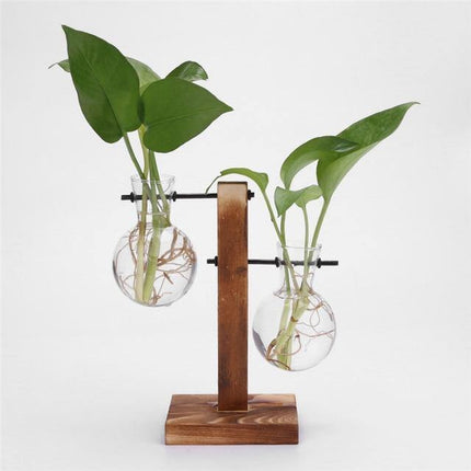 Glass Propagation Vase | Vertical Wooden Stand | 360° View | Decorative Glass Planter for Home Office | Durable Borosilicate Glass | Natural Wood Bracket | Ideal for African Violets and More | Easy Assembly