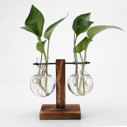 Glass Propagation Vase | Vertical Wooden Stand | 360° View | Decorative Glass Planter for Home Office | Durable Borosilicate Glass | Natural Wood Bracket | Ideal for African Violets and More | Easy Assembly