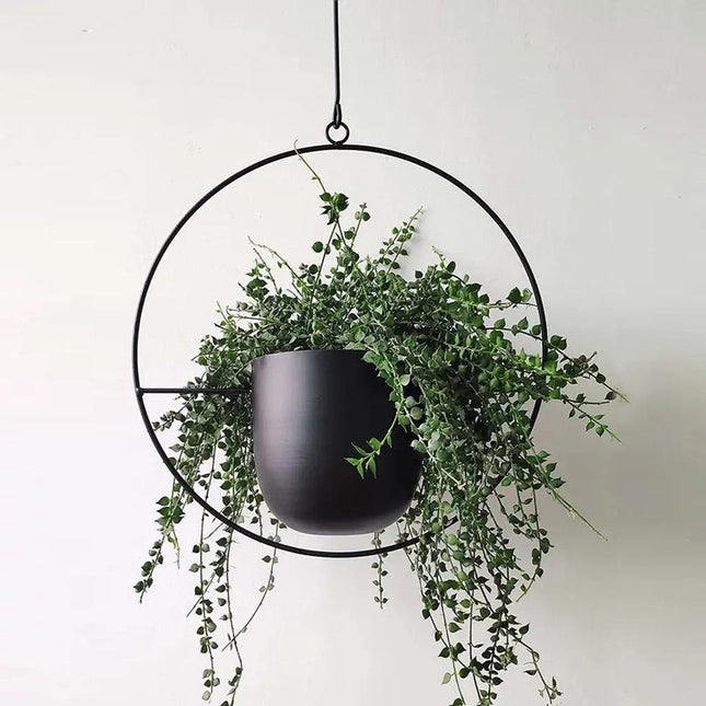 Durable Halo Iron Hanging Planter | Inky Black or Gold | Circular or Oblong Shape | Modern Indoor/Outdoor Decor | Includes Metal Chain & Hardware | Minimalist Design for Plants