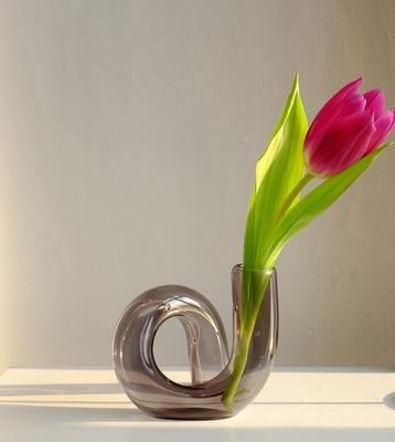 Color Tinted Glass Hydroponic Vase | Artistic Loop Design | Durable Borosilicate Glass | 5" Width x 4" Height | Accent Home Décor | Highly Resistant and Elegant for Display | Ideal for Plants and Blooms