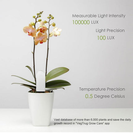 Smart Plant Water Meter | Health Sensor | Waterproof | Light & Temperature Detection | Bluetooth App Connection | Cloud Plant Database | Indicator Light | CR2032 Battery Included