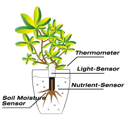 Smart Plant Water Meter | Health Sensor | Waterproof | Light & Temperature Detection | Bluetooth App Connection | Cloud Plant Database | Indicator Light | CR2032 Battery Included