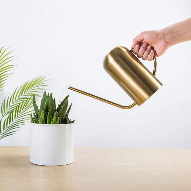 Bia Stainless Steel Watering Can | 1.5-Liter Capacity | 3 Finishes | 10" W x 8" H | Modern Plant Care Accessory