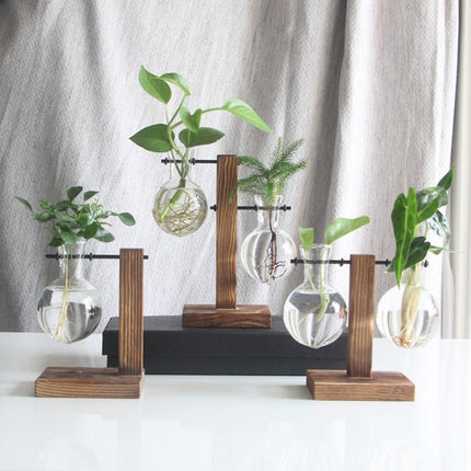 Glass Propagation Vase | Vertical Wooden Stand | 360° View | Decorative Glass Planter for Home Office | Durable Borosilicate Glass | Natural Wood Bracket | Ideal for African Violets and More | Easy Assembly