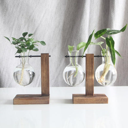 Glass Propagation Vase | Vertical Wooden Stand | 360° View | Decorative Glass Planter for Home Office | Durable Borosilicate Glass | Natural Wood Bracket | Ideal for African Violets and More | Easy Assembly