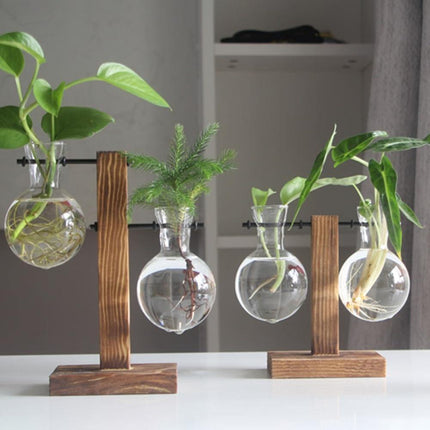 Glass Propagation Vase | Vertical Wooden Stand | 360° View | Decorative Glass Planter for Home Office | Durable Borosilicate Glass | Natural Wood Bracket | Ideal for African Violets and More | Easy Assembly