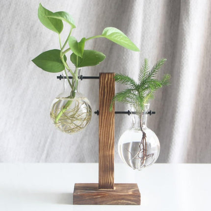 Glass Propagation Vase | Vertical Wooden Stand | 360° View | Decorative Glass Planter for Home Office | Durable Borosilicate Glass | Natural Wood Bracket | Ideal for African Violets and More | Easy Assembly