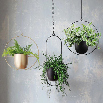 Durable Halo Iron Hanging Planter | Inky Black or Gold | Circular or Oblong Shape | Modern Indoor/Outdoor Decor | Includes Metal Chain & Hardware | Minimalist Design for Plants
