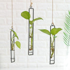 Set of 3