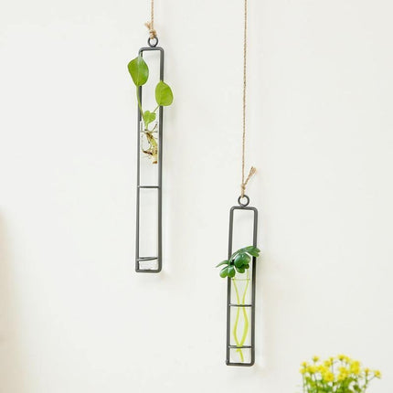 Hanging Glass & Iron Plant Propagation Terrariums | Minimalist Style | Includes Rope | Small 8.5" | Medium 10.5" | Large 12.5"