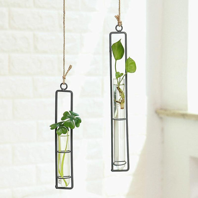 Hanging Glass & Iron Plant Propagation Terrariums | Minimalist Style | Includes Rope | Small 8.5" | Medium 10.5" | Large 12.5"