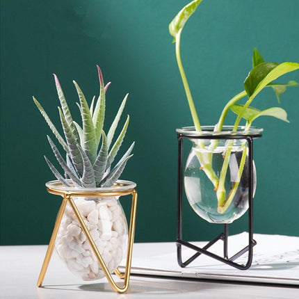 Modern Glass Propagation Vase with Geometric Iron Stand | Transparent Plant Pot | Perfect Desktop Decoration | 7x7x10.5cm | Home Decor | Baby Plant Propagation Vessel | Easy to Clean and Maintain