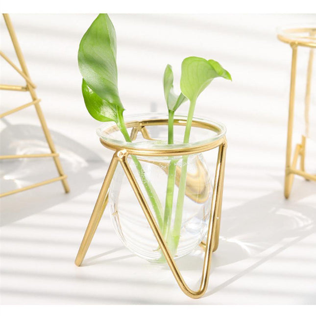 Modern Glass Propagation Vase with Geometric Iron Stand | Transparent Plant Pot | Perfect Desktop Decoration | 7x7x10.5cm | Home Decor | Baby Plant Propagation Vessel | Easy to Clean and Maintain