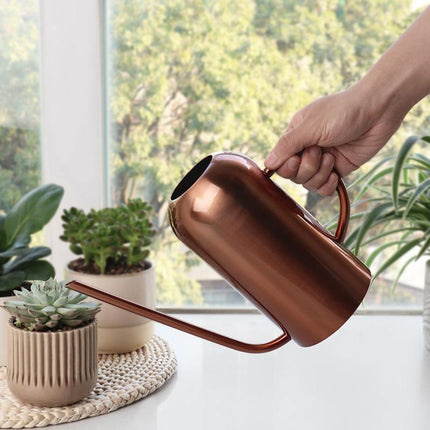Bia Stainless Steel Watering Can | 1.5-Liter Capacity | 3 Finishes | 10" W x 8" H | Modern Plant Care Accessory