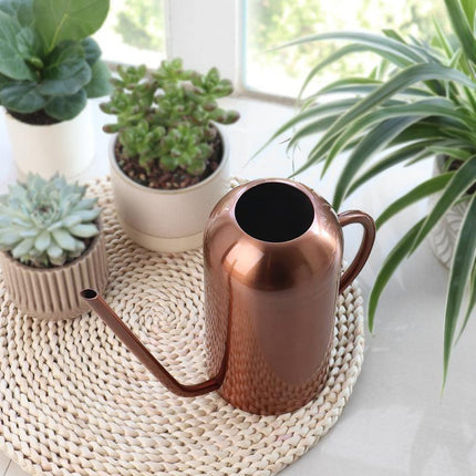 Bia Stainless Steel Watering Can | 1.5-Liter Capacity | 3 Finishes | 10" W x 8" H | Modern Plant Care Accessory