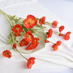 OrangeRed