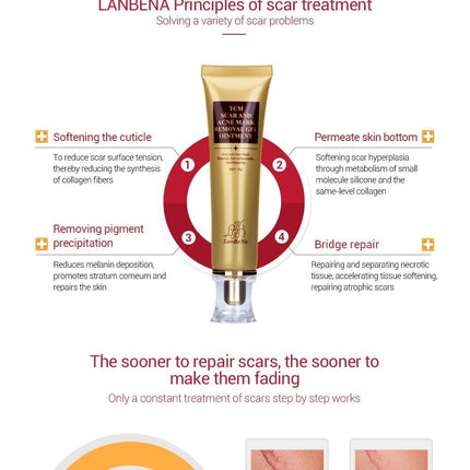 Ginseng Extract Acne Scar Cream | Reduce Pimples & Marks | Restore & Smooth Skin | Personal Care