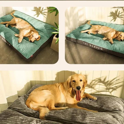 Orthopedic Dog Bed | Plush Fleece Lined | Large, XL, XXL | Dark Blue, Green | Non-Slip & Machine Washable Cover | Raised Edges for Comfort & Support