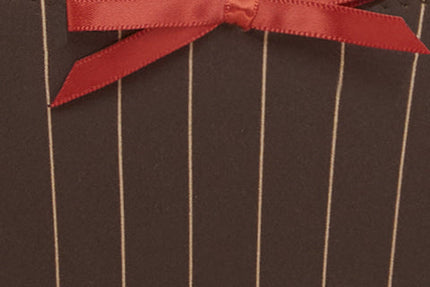 Jeanie Bikini Bottom | Women’s Swimwear | Brown Pinstripe | Regular Rise with Bow Detailing