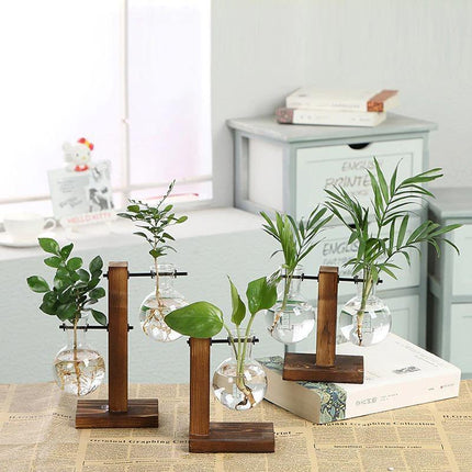 Glass Propagation Vase | Vertical Wooden Stand | 360° View | Decorative Glass Planter for Home Office | Durable Borosilicate Glass | Natural Wood Bracket | Ideal for African Violets and More | Easy Assembly