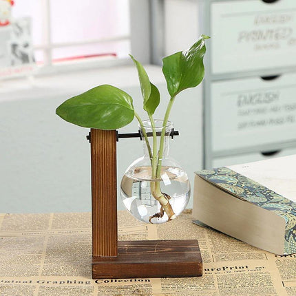 Glass Propagation Vase | Vertical Wooden Stand | 360° View | Decorative Glass Planter for Home Office | Durable Borosilicate Glass | Natural Wood Bracket | Ideal for African Violets and More | Easy Assembly