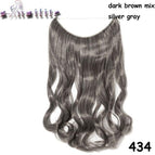 Dark Brown Mix Silver Curly